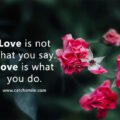 Love is not what you say. Love is what you do.