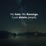 No hate, No Revenge. I just delete people.