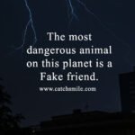The most dangerous animal on this planet is a Fake friend.