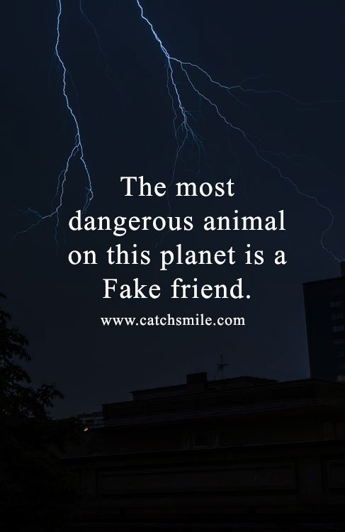 The most dangerous animal on this planet is a Fake friend. 4 The most dangerous animal on this planet is a Fake friend.