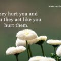 They hurt you and then they act like you hurt them.