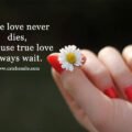 True love never dies, Because true love always wait.