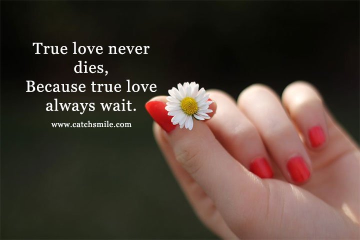 True love never dies, Because true love always wait. 7 True love never dies, Because true love always wait.