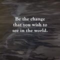 Be the change that you wish to see in the world. 15 Be the change that you wish to see in the world.