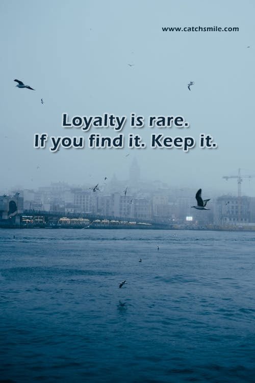 Loyalty is rare. If you find it. Keep it.