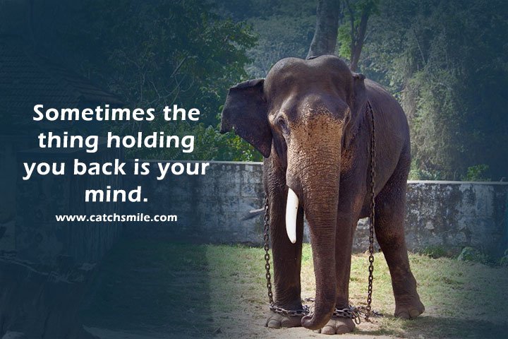 Sometimes the thing holding you back is your mind. 1 Sometimes the thing holding you back is your mind.