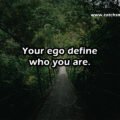 Your ego define who you are.
