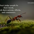 Don't judge people by their words. Watch their actions, efforts, and consistency.
