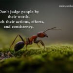 Don't judge people by their words. Watch their actions, efforts, and consistency.