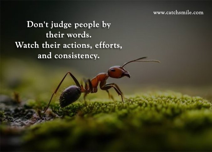 Don't judge people by their words. Watch their actions, efforts, and consistency.